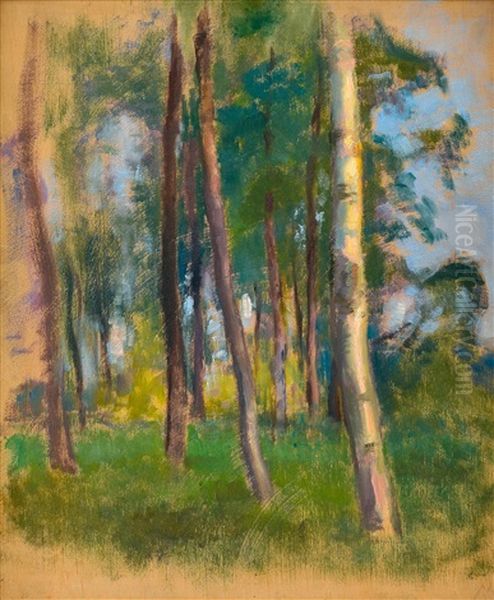 Trees - view 1