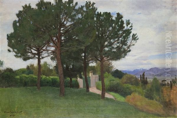 Parklandskap - view 1