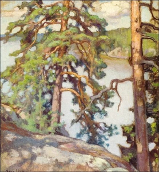 Mantymaisema - view 1