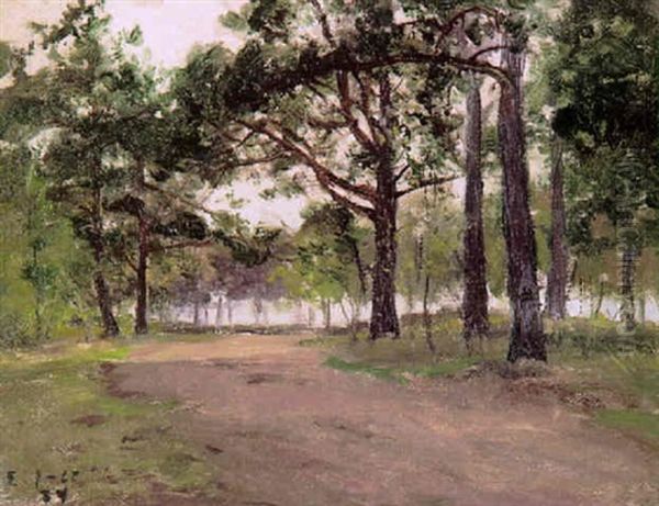 Puistokuva - view 1
