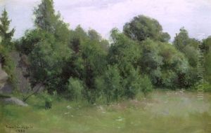 Metsanreuna