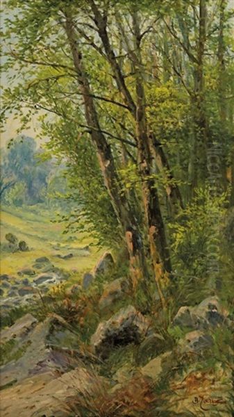 Na Kraji Lesa - view 1