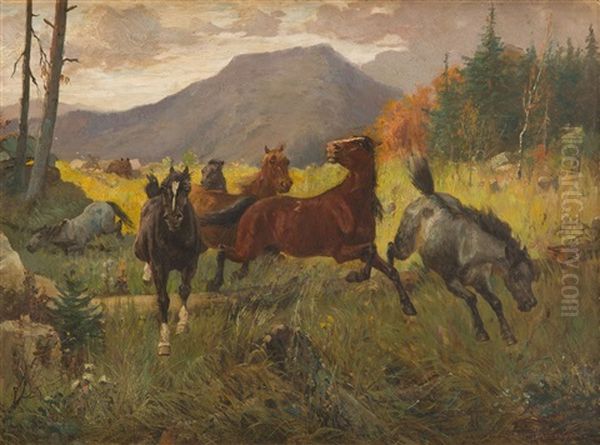 Horses On The Mountain Meadow - view 1