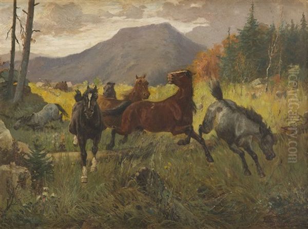 Horses - view 1