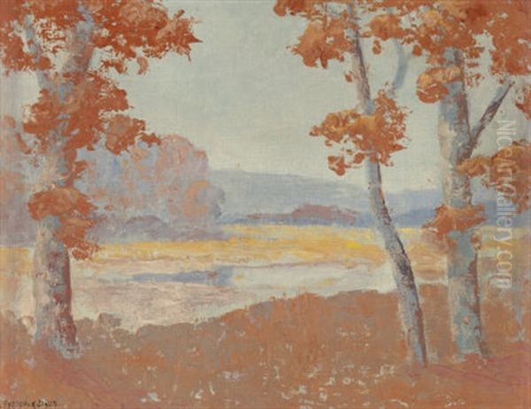 View Through The Trees On A Fall Afternoon - view 1