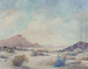 West Texas Desert by Frederick Jarvis
