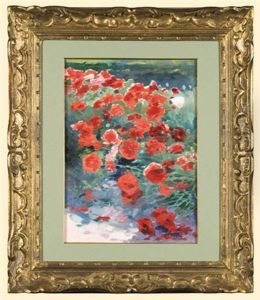 Poppies