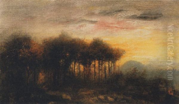 Abendstimmung Uber Waldlandschaft - view 1