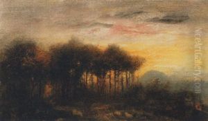 Abendstimmung Uber Waldlandschaft Abendstimmung Uber Waldlandschaft
