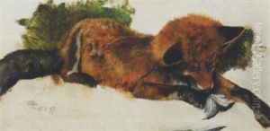 Fuchsin Mit Beute by Rudolf-Alfred Jaumann