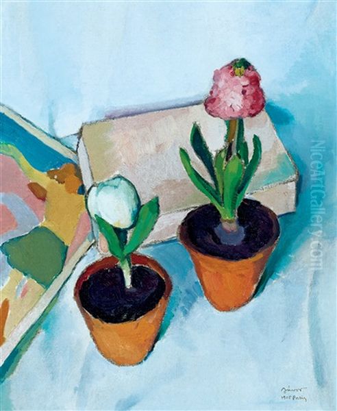 Potted Plants - view 1
