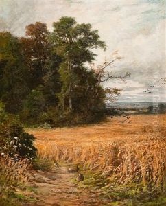 Rabbits In A Cornfield