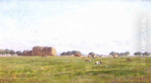 Extensive Country Landscape With Cattle - view 1
