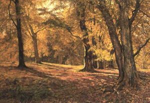 Amongst The Beeches by William Samuel Jay