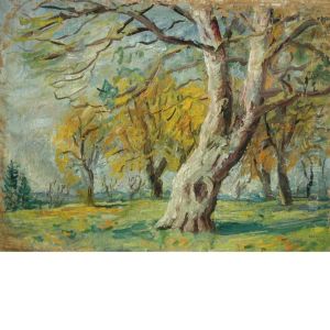 Autumn Trees