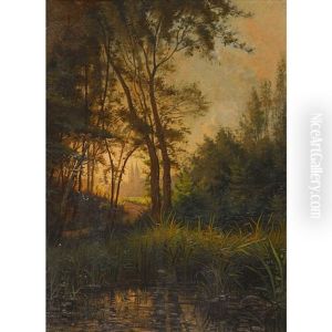 Abendstimmung Am Waldteich Abendstimmung Am Waldteich