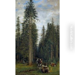 Un Temps Couvert Dans Une Foret De Sapins