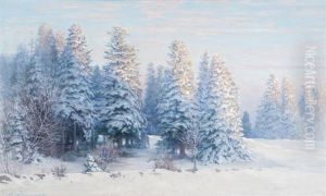 Soleil Levant Par La Neige A La Lisiere De La Foret De Sapins