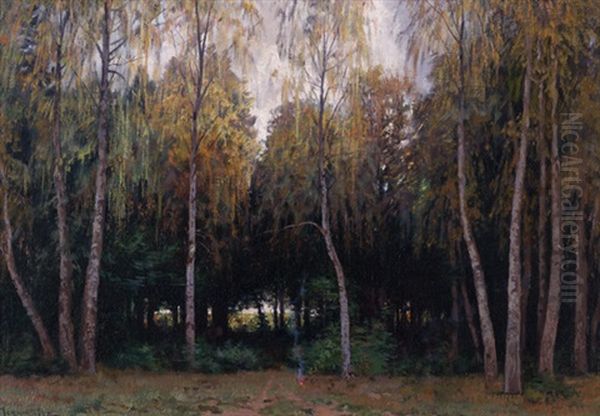 Bouleaux Et Sapins - view 1