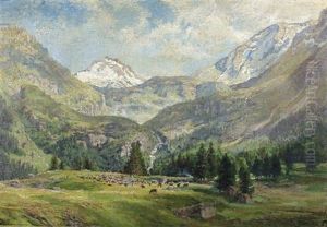 Le Fond Du Val Cluson Vu De L'alpe De Tortin