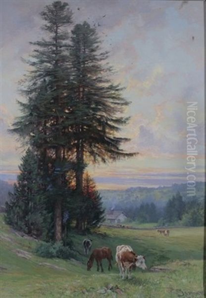 Soleil Couchant Au Paturage De La Joux-perret - view 1