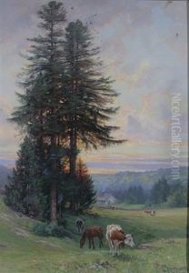 Soleil Couchant Au Paturage De La Joux-perret Soleil Couchant Au Paturage De La Joux-perret