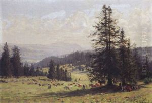 Le Chasseron Vu Des Hauteurs De Sommartel Le Chasseron Vu Des Hauteurs De Sommartel