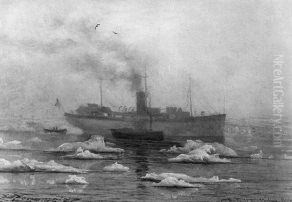 Polaryacht "kong Harald" Mit Begleitschiffen "la Vega" Und "a La Banquise" In Der Aventy-bay Vor Spitzbergen - view 1