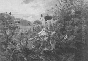Les Pavots Les Pavots