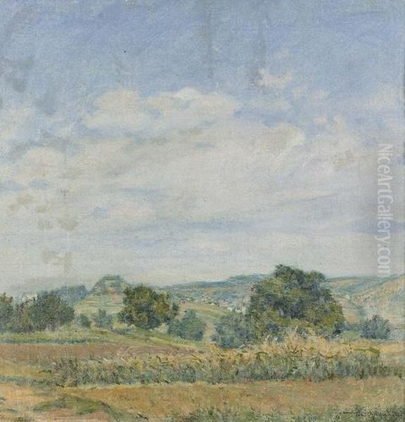 Sommerliche Landschaft. - view 1