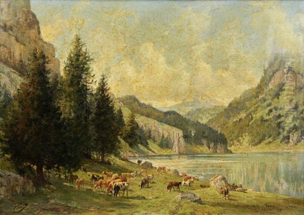 Lac De Taney, Cton Du Valais - view 1