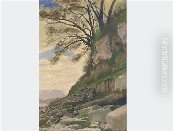 Cliff With Bushes - view 1