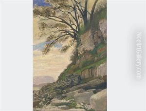 Cliff With Bushes