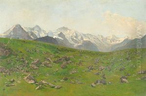 Alp, Wohl Bei Der Kleinen Scheidegg