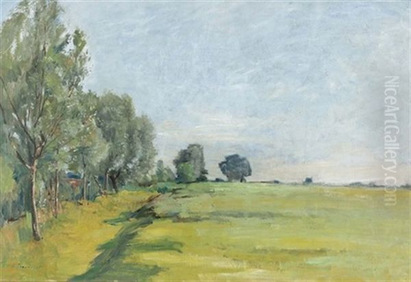 Sommerliche Wiesenlandschaft - view 1