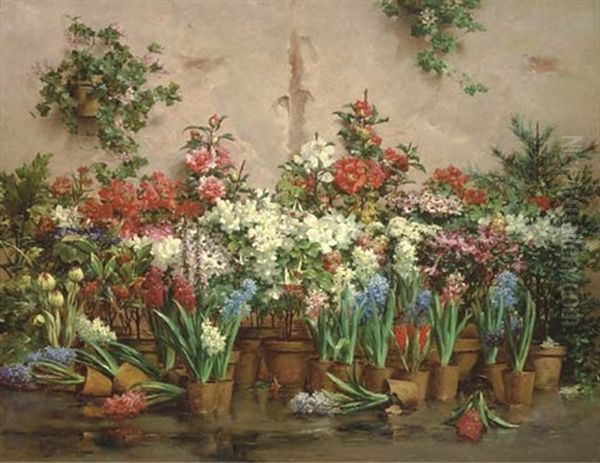 Sunlit Flowers - view 1
