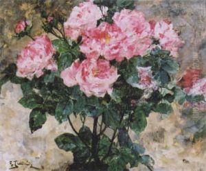 Rosier En Fleurs