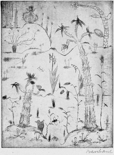 Tropisch - view 1