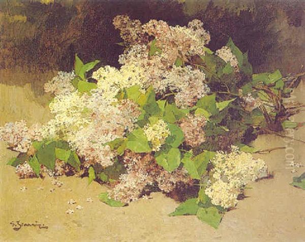 Spring Flowers - view 1