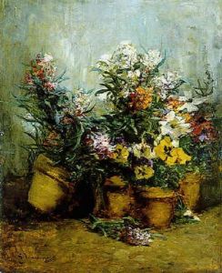 Fleurs En Pots