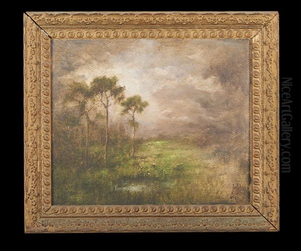 Louisiana Landscape - view 1