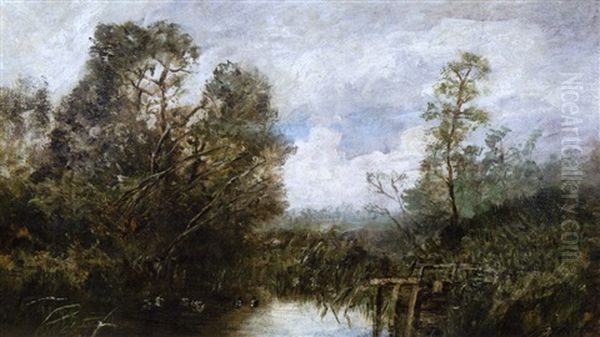 A Study In Florida - view 1