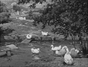 Enten by Rudolph Jelinek