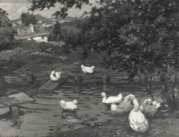 Ducks In A Pond - view 1
