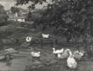 Ducks In A Pond