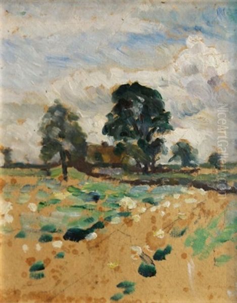 Worcestershire Landscape - view 1
