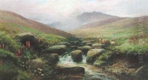 In Snowdonia