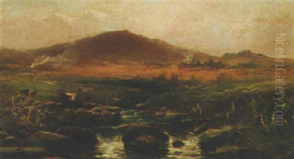 Cattle By A Dartmoor Stream - view 1