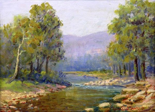 Mountain Stream - view 1