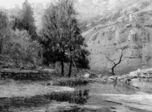Barton Creek, Austin, Texas by John Eliot Jenkins